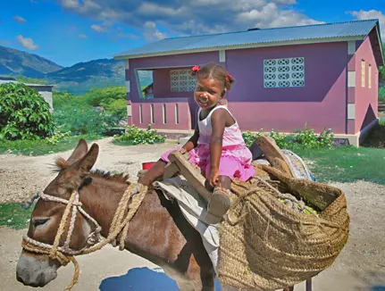 donkey dontaion recipient