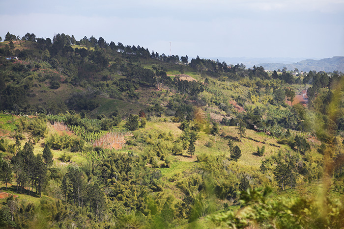 Lush green hills and mountain landscape in Jamaica beneath a cloudy sky.