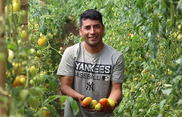 Where Hope Grows: Fighting Hunger With Fresh Food for Children