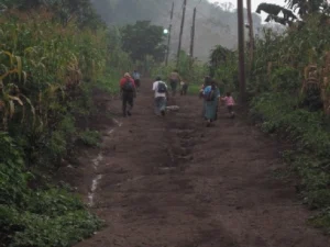 El Tabacal’s road