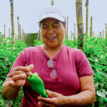The Seeds of Survival: How Sustainable Agriculture Strengthens Food Security in El Salvador