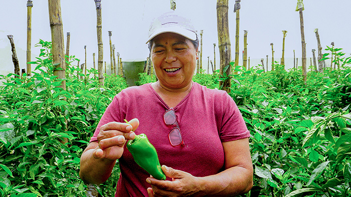 The Seeds of Survival: How Sustainable Agriculture Strengthens Food Security in El Salvador