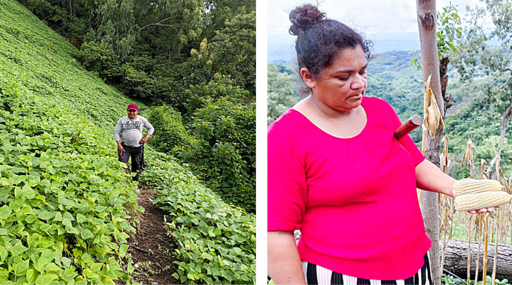Farmers showing harvests of beans and corn as part of sustainable agriculture in El Salvador