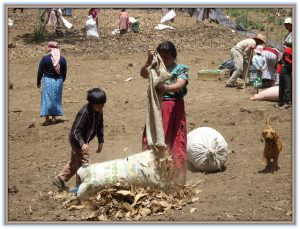 Organic fertilizer.