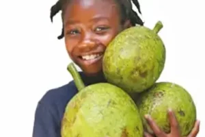 A Fruit Tree