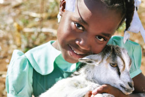 A goat to give milk