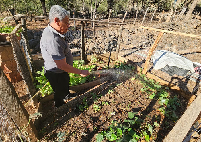 A man watering his plants.