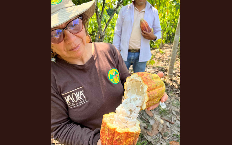 A Peruvian cacao farmer shows the inside of a cacao bean