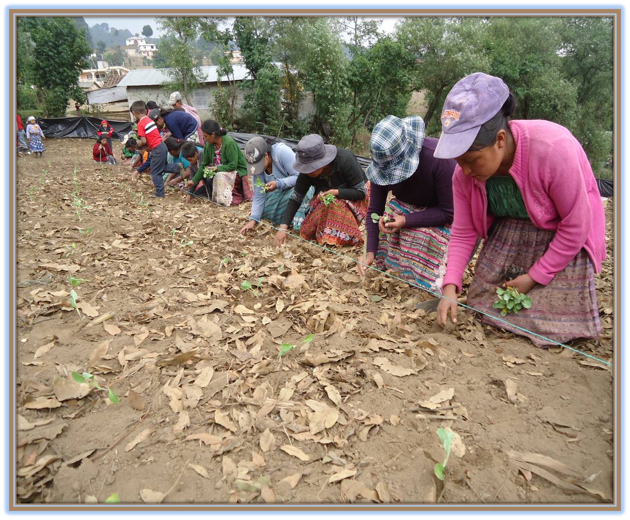 Growing Good Gardens in Guatemala